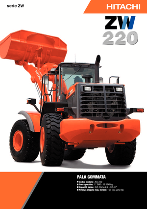 Pale gommate Hitachi ZW 220