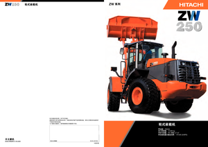 Pale gommate Hitachi ZW 250