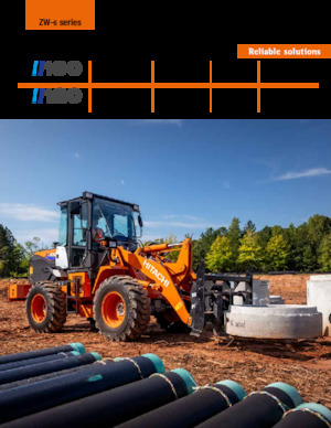 Pale gommate Hitachi ZW100-6