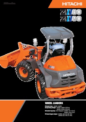 Pale gommate Hitachi ZW80