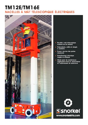 Piattaforme aeree verticali Snorkel TM16E