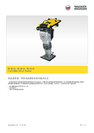 Costipatori Diesel e Benzina Wacker BS 50-2i 11