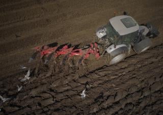 Aratri Maschio Unico L 4E