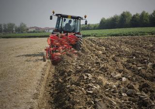 Aratri Maschio Unico XS 2+1