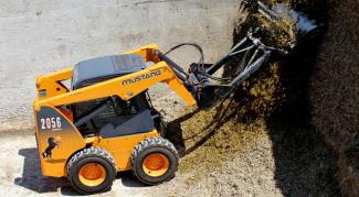 Minipale Mustang 2056
