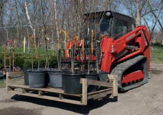 Minipale Manitou 2100RT NXT:3