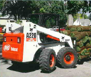 Minipale Bobcat A 220