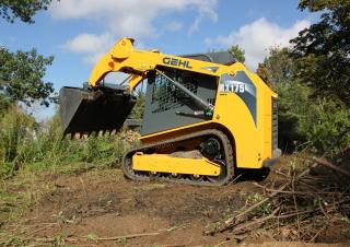Minipale Gehl RT 175 SXT Dual