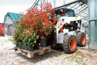 Minipale Bobcat S 160 ACS