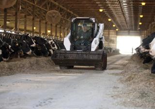 Minipale Bobcat S590