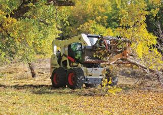 Minipale Bobcat S650