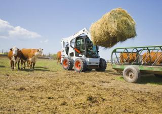 Minipale Bobcat S770