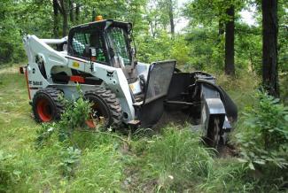 Minipale Bobcat S850