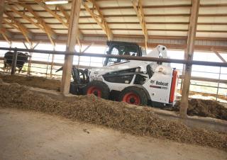 Minipale Bobcat S590