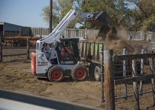 Minipale Bobcat S590
