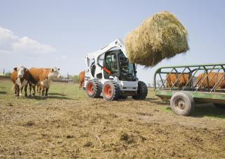 Minipale Bobcat S770