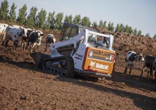 Minipale Bobcat T590