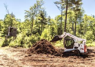 Minipale Bobcat T770