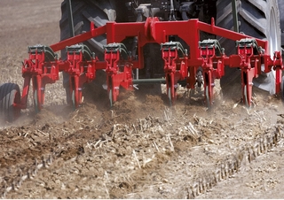 Coltivatori con vomeri ad alette Unia Plow B 6 