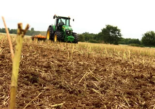 Erpici a dischi-gancio Agrisem Disc-O-Mulch Gold 5.00