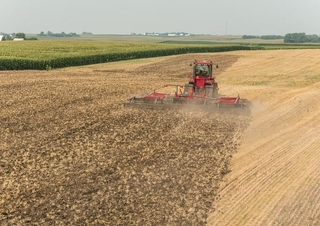Erpici a dischi-gancio Case IH True-Tandem 375 31