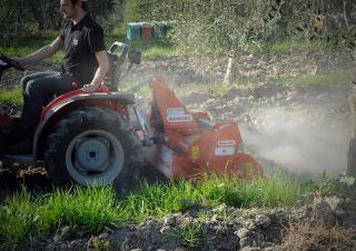 Erpici rotanti Maschio W 125