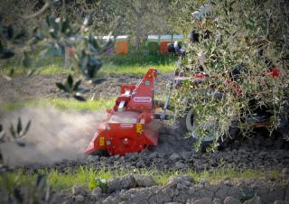 Erpici rotanti Maschio W 125