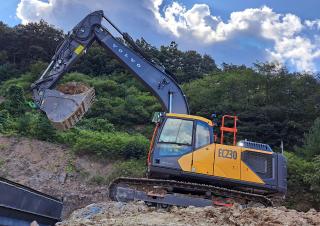 Escavatori cingolati Volvo EC230F N 