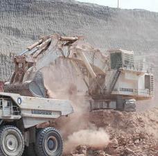 Escavatori cingolati Liebherr R 995 