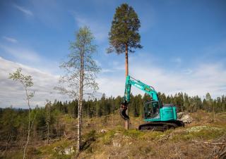 Escavatori cingolati Kobelco SK 140 SRL 5