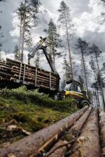 Macchine forestali Forwarder Ponsse Elephant