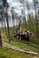 Macchine forestali Forwarder Ponsse Elephant