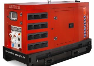 Generatori Generatori diesel Endress ESE 20 YW/RS