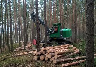 Macchine forestali Harvester forestali Neuson Forest 104HV