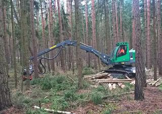 Macchine forestali Harvester forestali Neuson Forest 104HVT