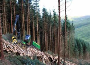 Macchine forestali Harvester forestali John Deere 1270 E IT4