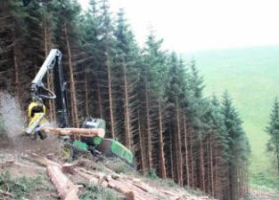 Macchine forestali Harvester forestali John Deere 1270 E IT4