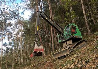 Macchine forestali Harvester forestali Neuson Forest 183HVT