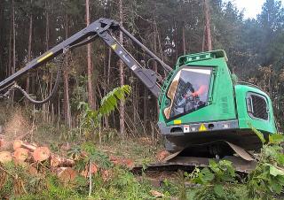 Macchine forestali Harvester forestali Neuson Forest 183HVT