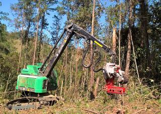 Macchine forestali Harvester forestali Neuson Forest 183HVT