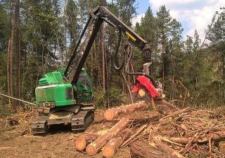 Macchine forestali Harvester forestali Neuson Forest 183HVT