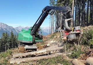 Macchine forestali Harvester forestali Neuson Forest 243HV