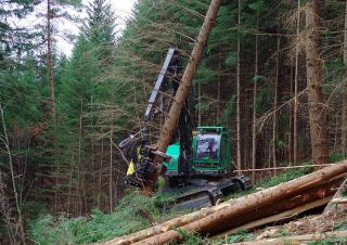 Macchine forestali Harvester forestali Neuson Forest 243HVT
