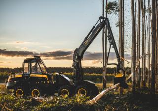 Macchine forestali Harvester forestali Ponsse Cobra