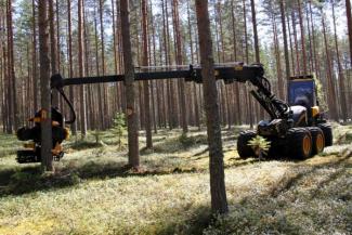 Macchine forestali Harvester forestali Ponsse Ergo