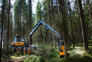 Macchine forestali Harvester forestali Ponsse Fox