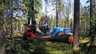 Macchine forestali Harvester forestali Rottne H 11