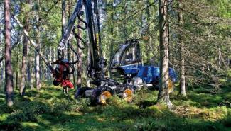Macchine forestali Harvester forestali Rottne H 11