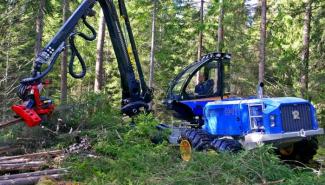 Macchine forestali Harvester forestali Rottne H 11