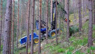 Macchine forestali Harvester forestali Rottne H 11